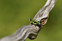 BUITEN BEELD Foto: 407643
