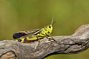 BUITEN BEELD Foto: 407657
