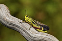 BUITEN BEELD Foto: 407658
