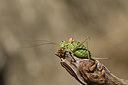 BUITEN BEELD Foto: 407669