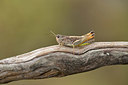 BUITEN BEELD Foto: 407700