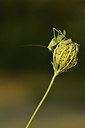 BUITEN BEELD Foto: 407725