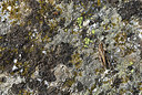 BUITEN BEELD Foto: 407746