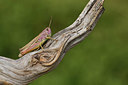 BUITEN BEELD Foto: 407755