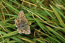 BUITEN BEELD Foto: 407792