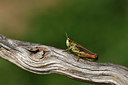 BUITEN BEELD Foto: 407806