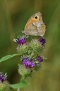 BUITEN BEELD Foto: 407816