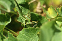 BUITEN BEELD Foto: 407874