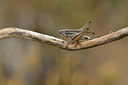 BUITEN BEELD Foto: 407896