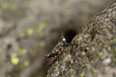 BUITEN BEELD Foto: 407950