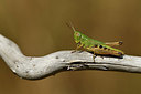 BUITEN BEELD Foto: 407953