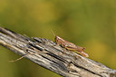 BUITEN BEELD Foto: 407965