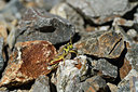 BUITEN BEELD Foto: 407993