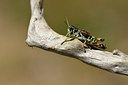 BUITEN BEELD Foto: 408006