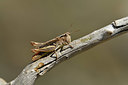 BUITEN BEELD Foto: 408027