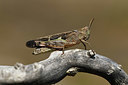 BUITEN BEELD Foto: 408050