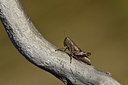BUITEN BEELD Foto: 408053