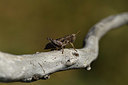 BUITEN BEELD Foto: 408054