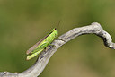 BUITEN BEELD Foto: 408057