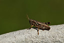 BUITEN BEELD Foto: 408064