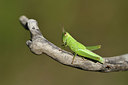 BUITEN BEELD Foto: 408065