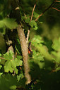BUITEN BEELD Foto: 408084