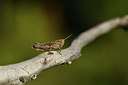 BUITEN BEELD Foto: 408085