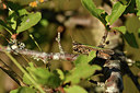 BUITEN BEELD Foto: 408090