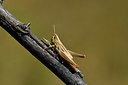 BUITEN BEELD Foto: 408095