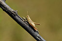 BUITEN BEELD Foto: 408105