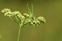 BUITEN BEELD Foto: 408132