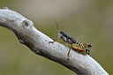 BUITEN BEELD Foto: 408164