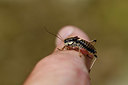 BUITEN BEELD Foto: 408231