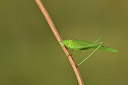 BUITEN BEELD Foto: 408266