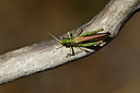 BUITEN BEELD Foto: 408296