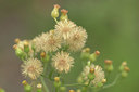 BUITEN BEELD Foto: 408515