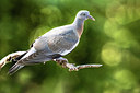 BUITEN BEELD Foto: 408577