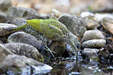 BUITEN BEELD Foto: 408592