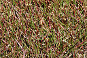 BUITEN BEELD Foto: 408835