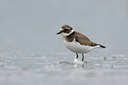 BUITEN BEELD Foto: 40025