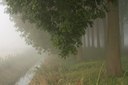 BUITEN BEELD Foto: 40035