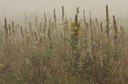 BUITEN BEELD Foto: 40036