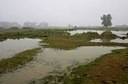BUITEN BEELD Foto: 40037