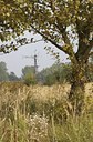 BUITEN BEELD Foto: 40085
