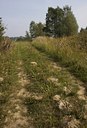 BUITEN BEELD Foto: 40088