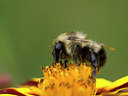 BUITEN BEELD Foto: 40121