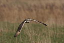 BUITEN BEELD Foto: 40143