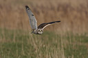 BUITEN BEELD Foto: 40144