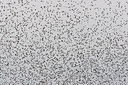 BUITEN BEELD Foto: 40204