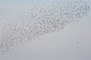 BUITEN BEELD Foto: 40206
